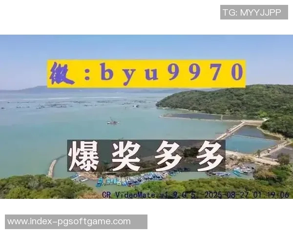 pg电子免费旋转-探索PG电子免费旋转的魅力-pg电子免费旋转