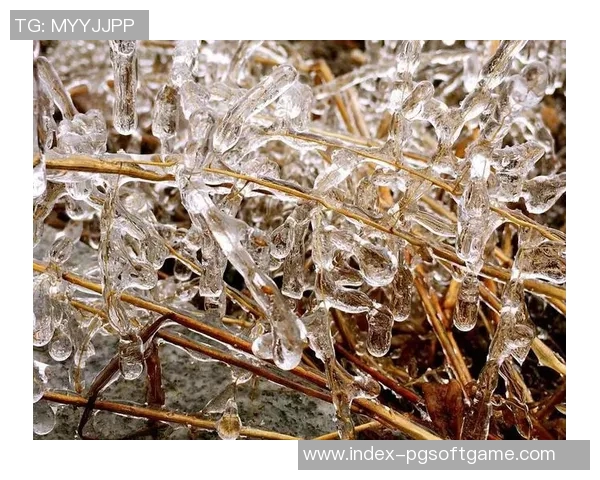赏金船长爆大奖-赏金船长爆大奖,冒险旅程中的巨额奖赏-赏金船长爆大奖 赏金船长爆大奖-赏金船长爆大奖,冒险旅程中的巨额奖赏-赏金船长爆大奖