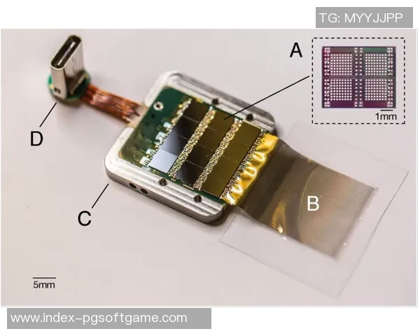 pg电子为什么是第三方-探究PG电子成为第三方的背后原因-pg电子为什么是第三方